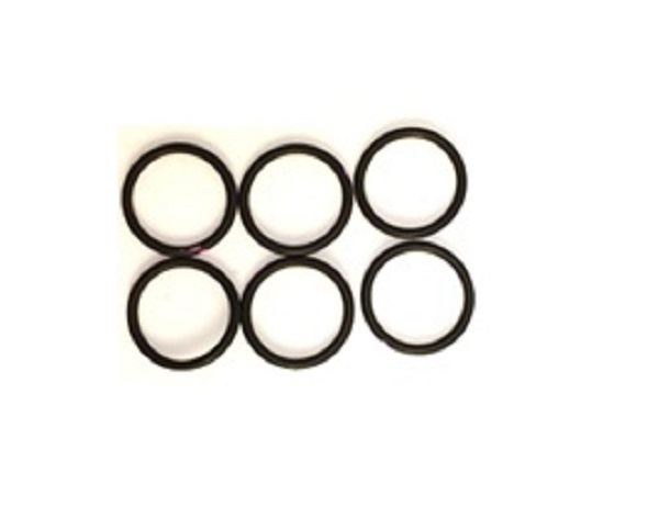 256772 SMALL PISTON O-RING KIT, FUSION CS  (PKG 6)