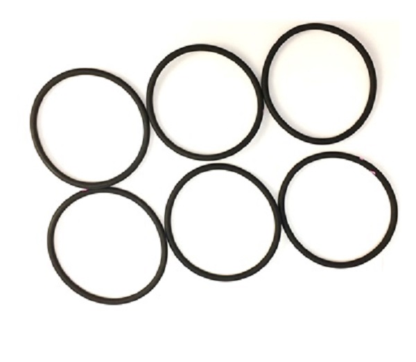 256775 LARGE PISTON O-RING KIT, FUSION CS  (PKG 6)