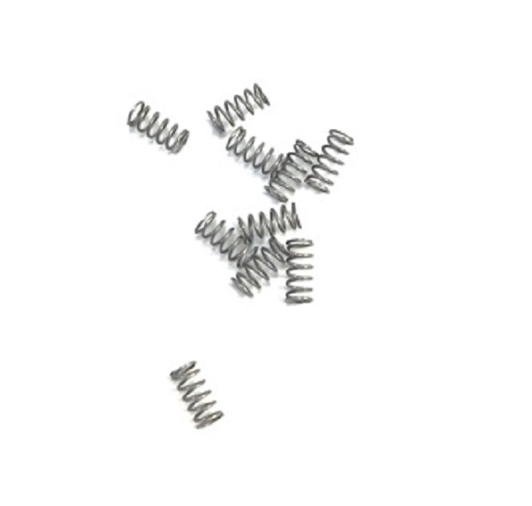 257419 CHECK VALVE SPRING 10/PK, FUSION CS  (PKG 10)