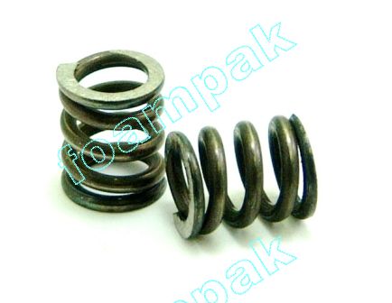 296959 36108 SPRING  (PKG 2)