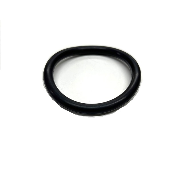 Ipm O-Ring