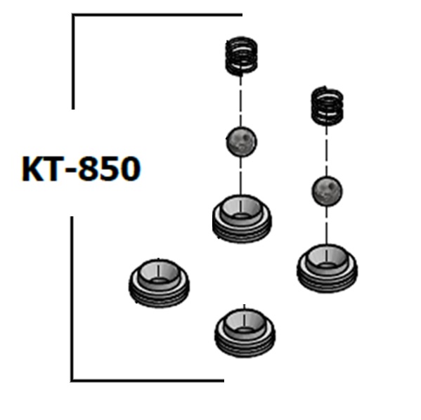 PMC KT-850 CHECK VALVE KIT (2 COMPLETE + 2 SPARE SEATS)