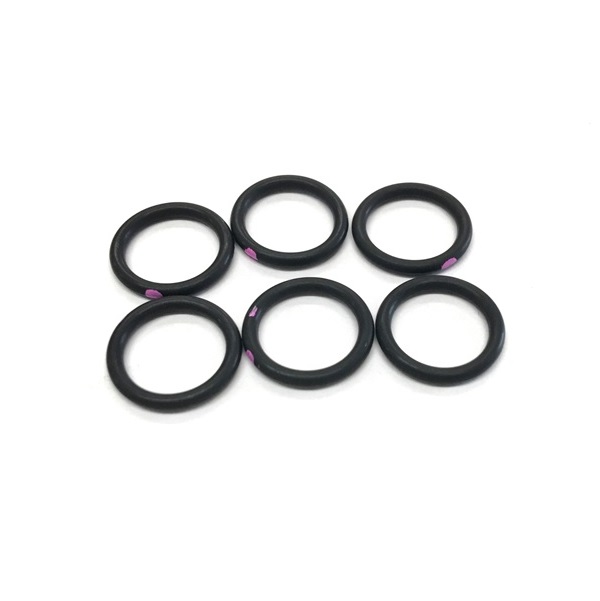 248129 CHECK VLV RAD SEAL O-RING (26g)  (PKG 6)