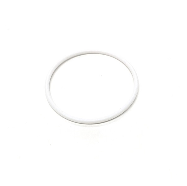 107098 O-RING