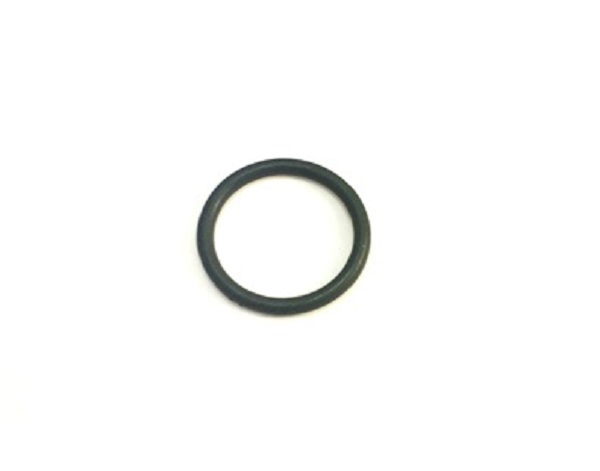 117517 O-RING, EXTREME