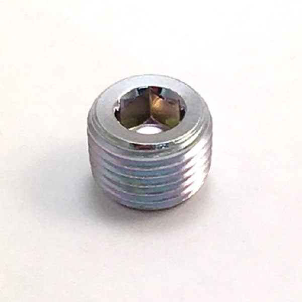 100139 PLUG, PIPE**