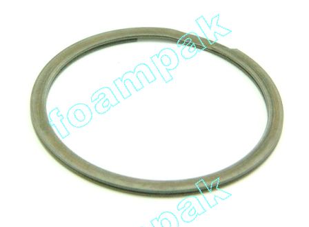 118379 RETAINING RING