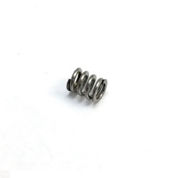 117491 SPRING, SIDE SEAL(18b)