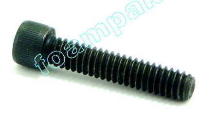 Graco Socket Head Cap Screw