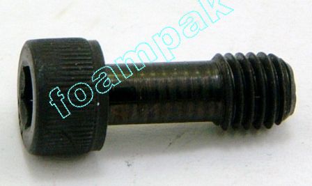 295669 16111-19 SCREW, SOCKET HEAD CAP